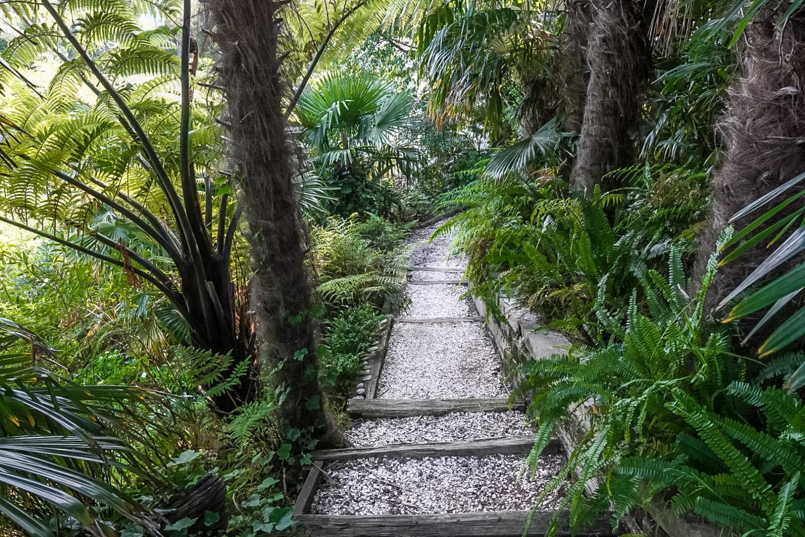  at 5 Corry Avenue, Bluff Hill, Napier