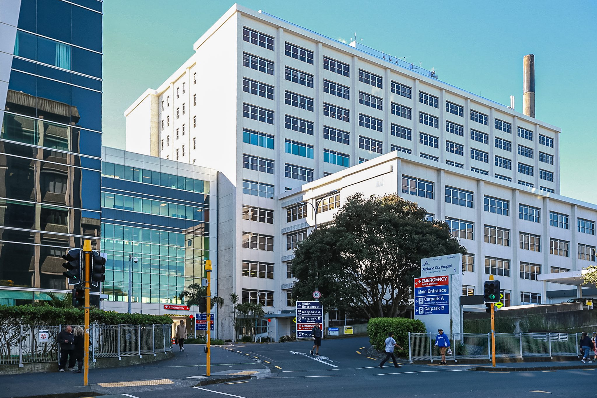  at 8C Arotau Place, Grafton, Auckland