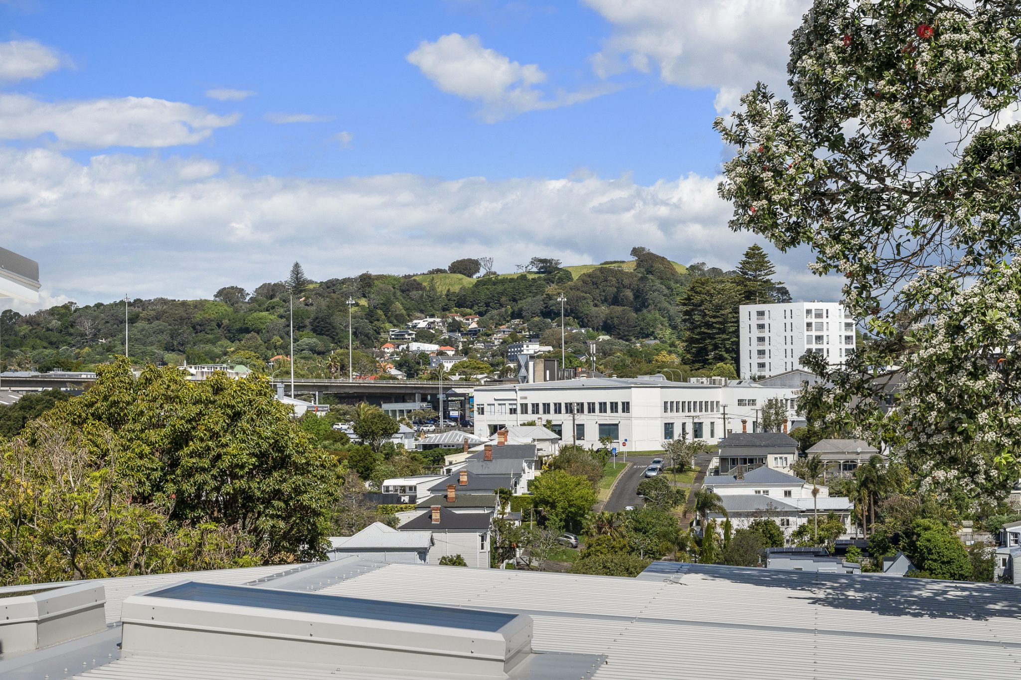 at 30 Home Street, Grey Lynn, Auckland