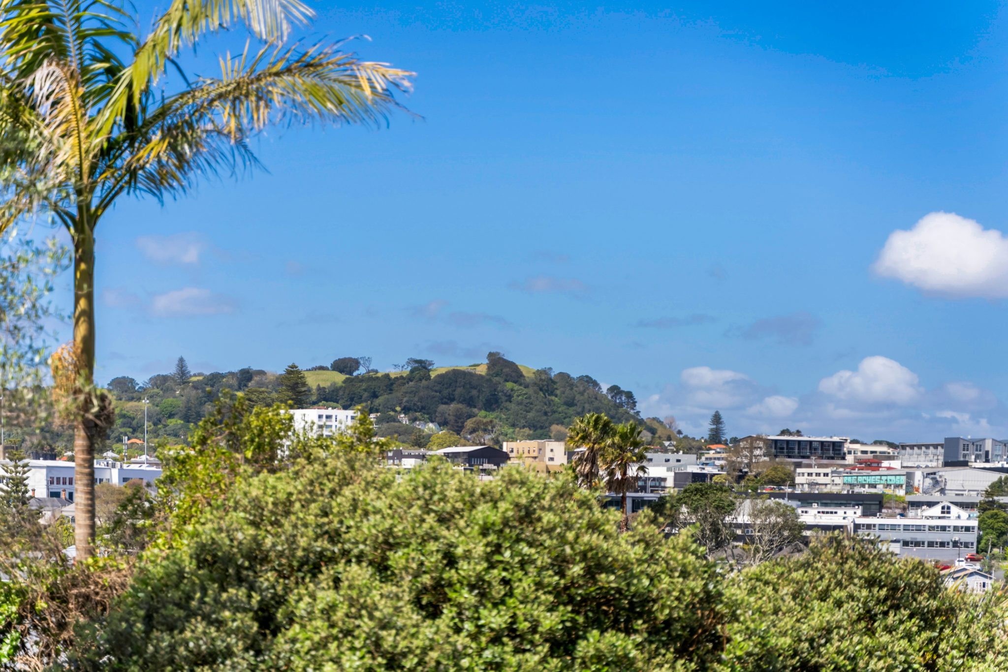  at 50 Dean Street, Grey Lynn, Auckland