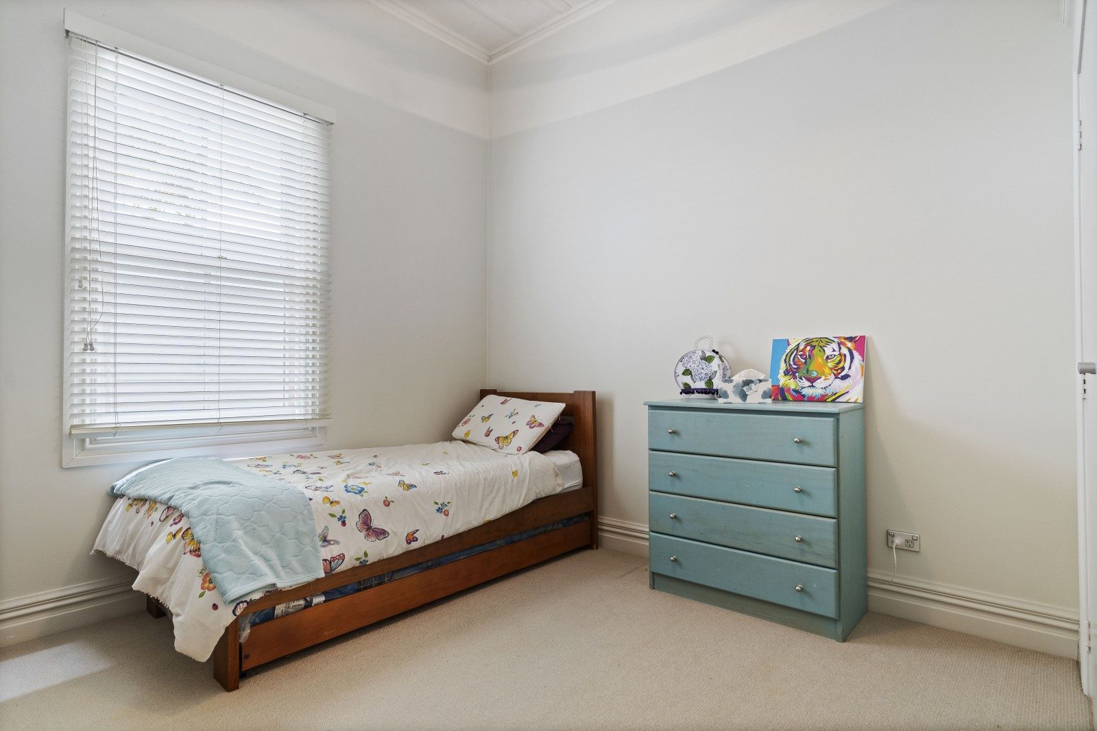  at 60 Scanlan Street, Grey Lynn, Auckland