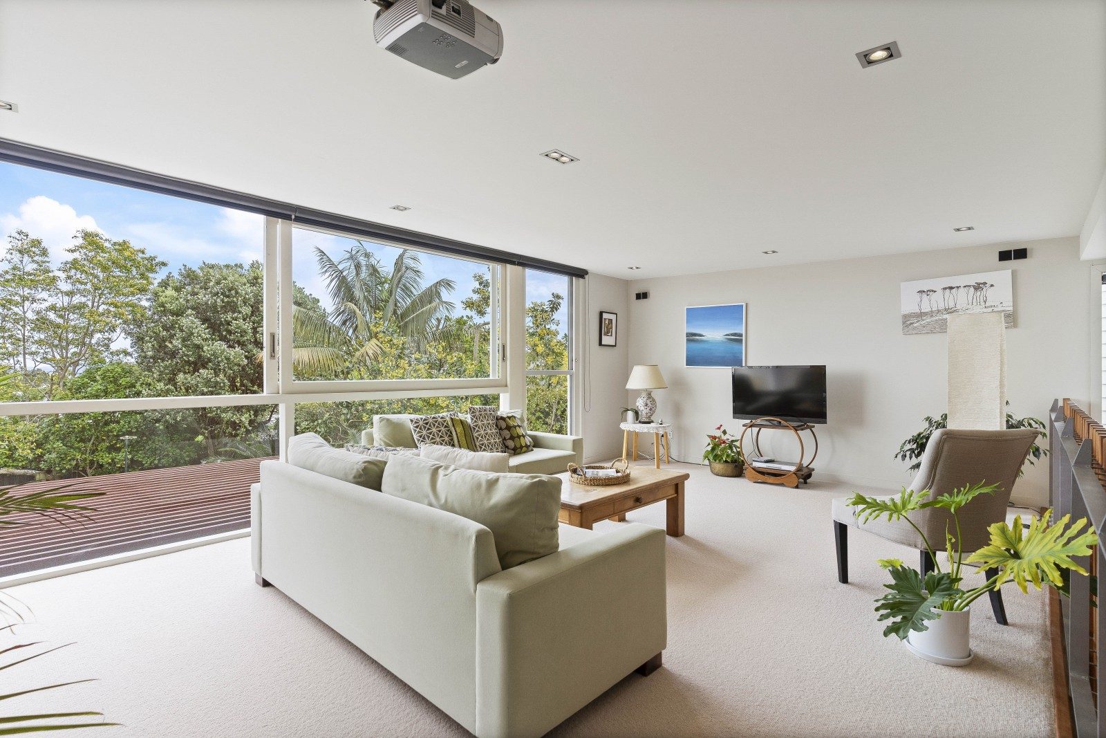  at 60 Scanlan Street, Grey Lynn, Auckland