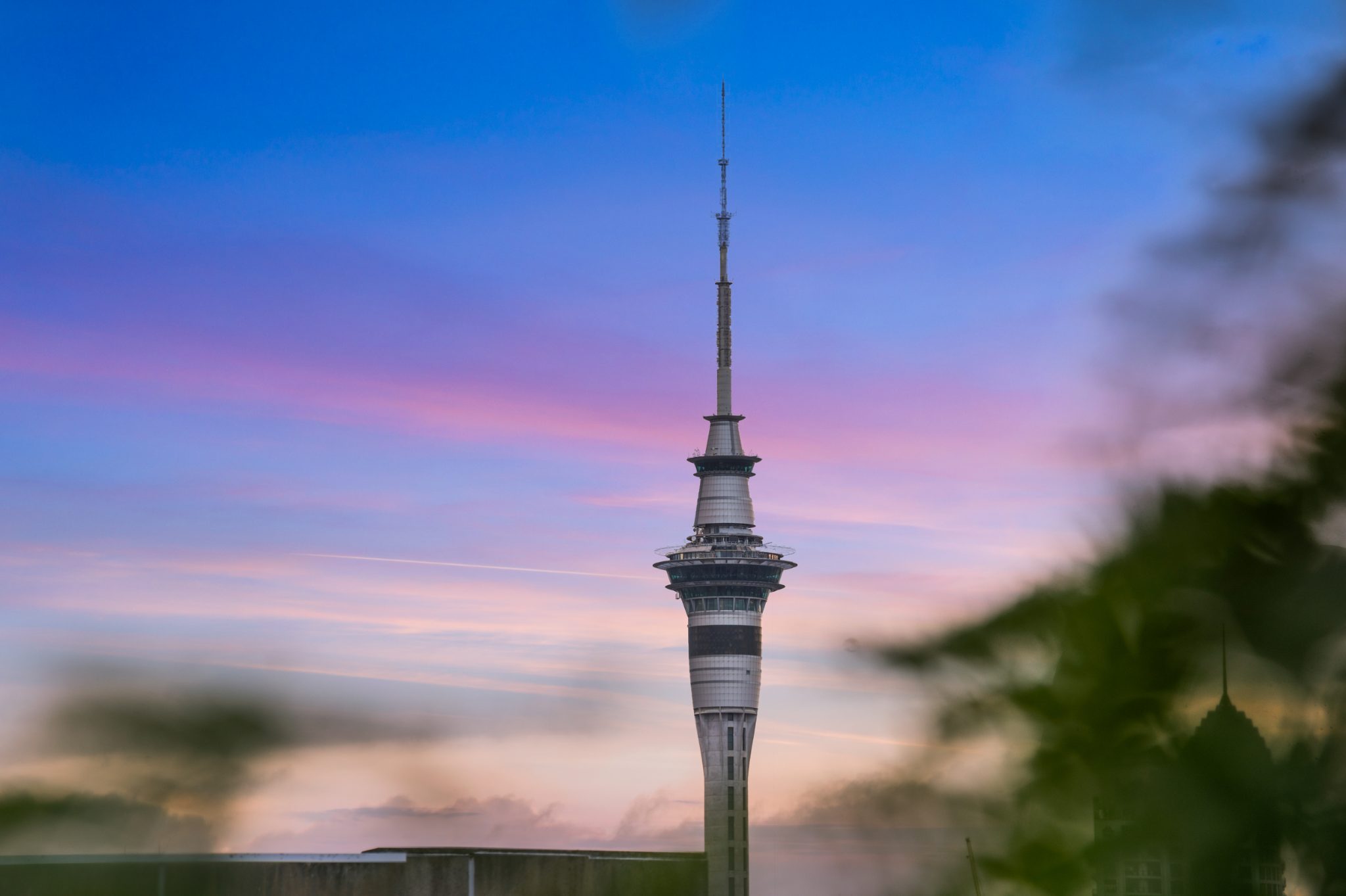  at 16 Cleveland Road, Parnell, Auckland