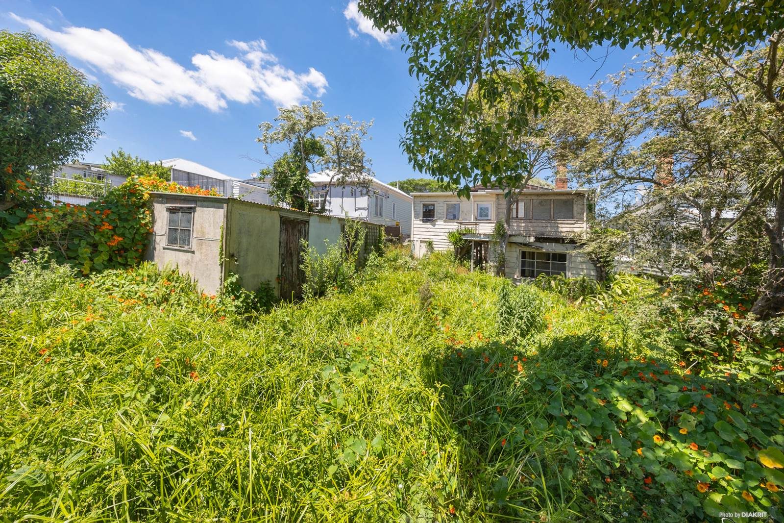  at 51 First Avenue, Kingsland, Auckland