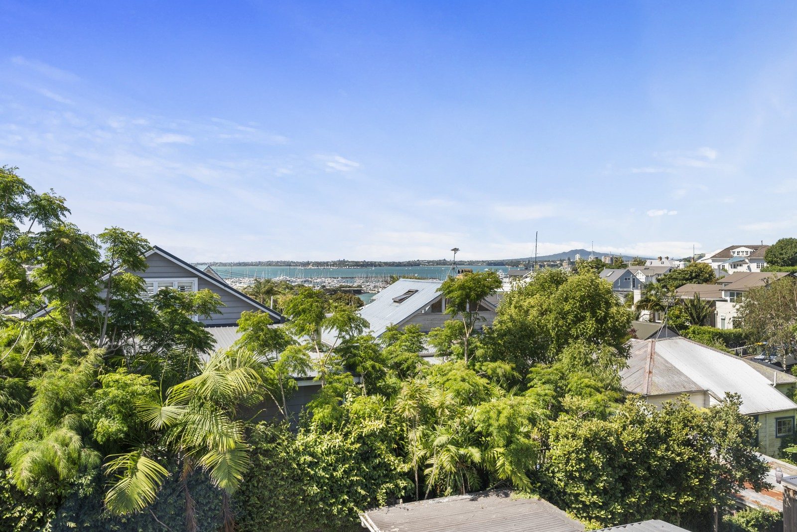  at 27 Melford Street, Saint Marys Bay, Auckland