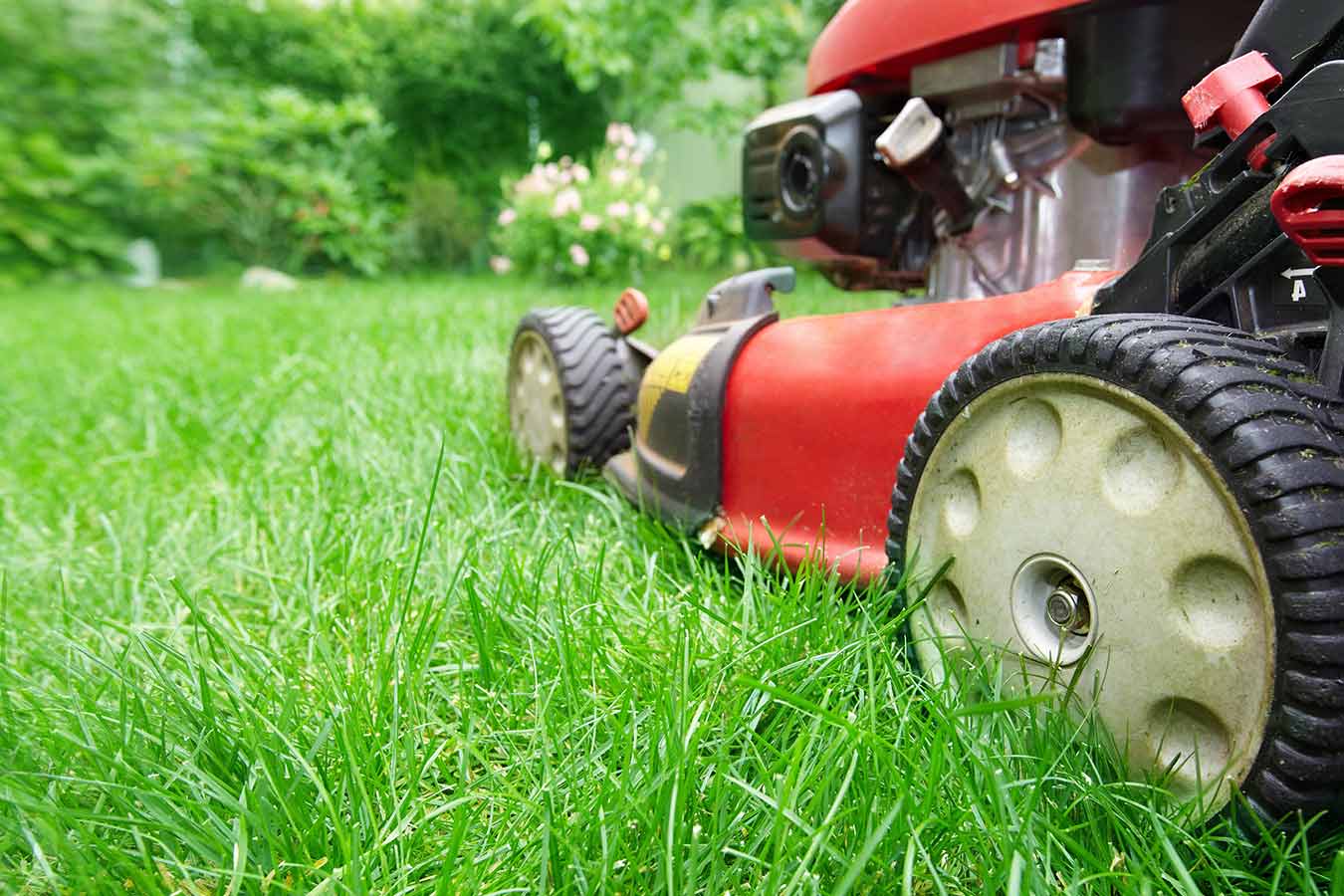 Lawn Mowers thumbnail