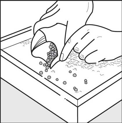 Sowing the seeds.