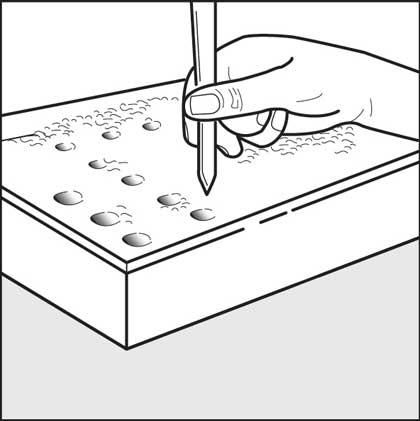 Make transplanting holes.