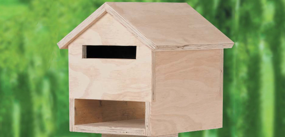 final timber letterbox