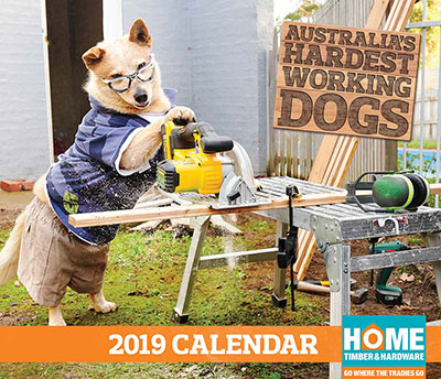 Dog sawing timber