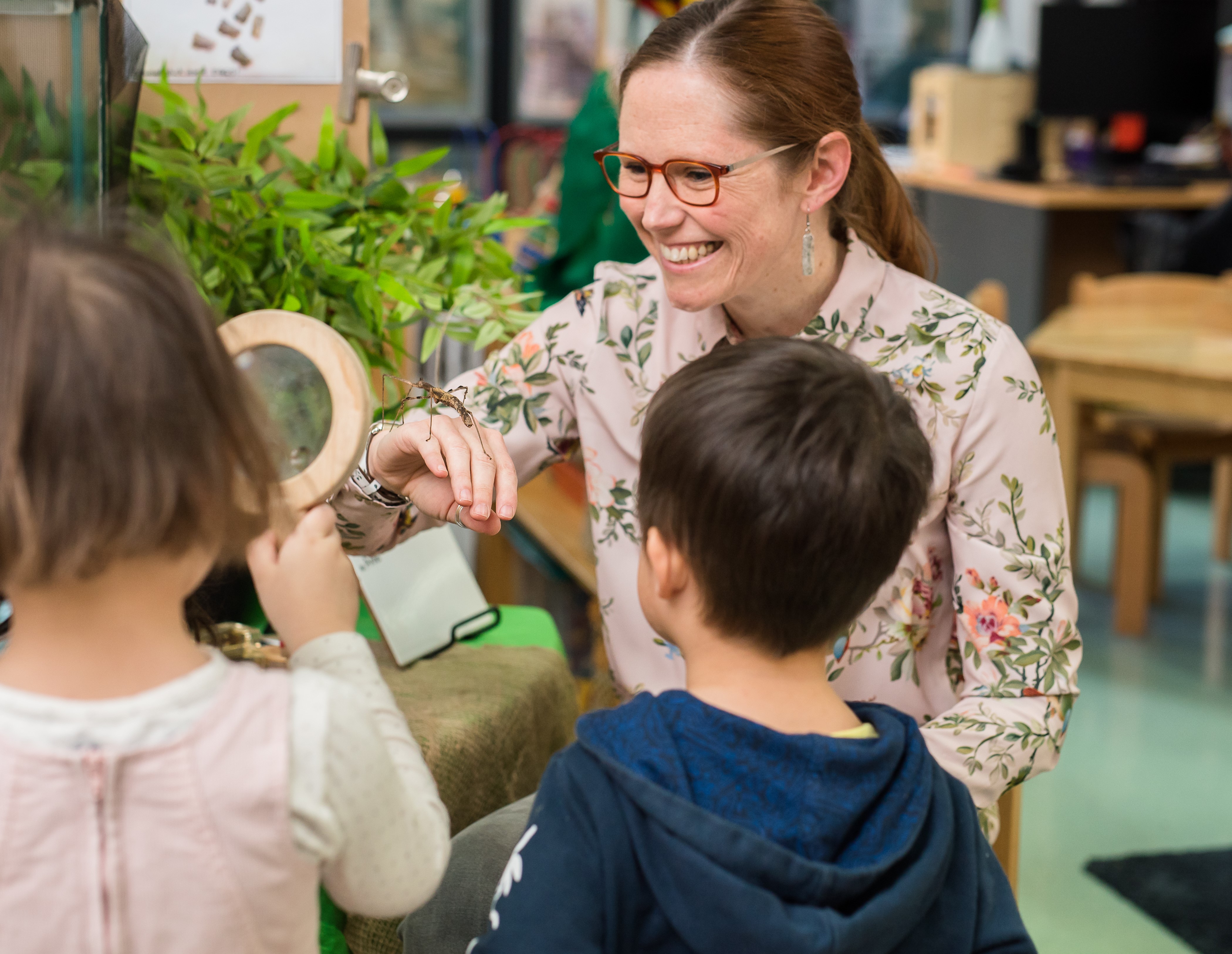 igs-early-learning-stick-insects-2019
