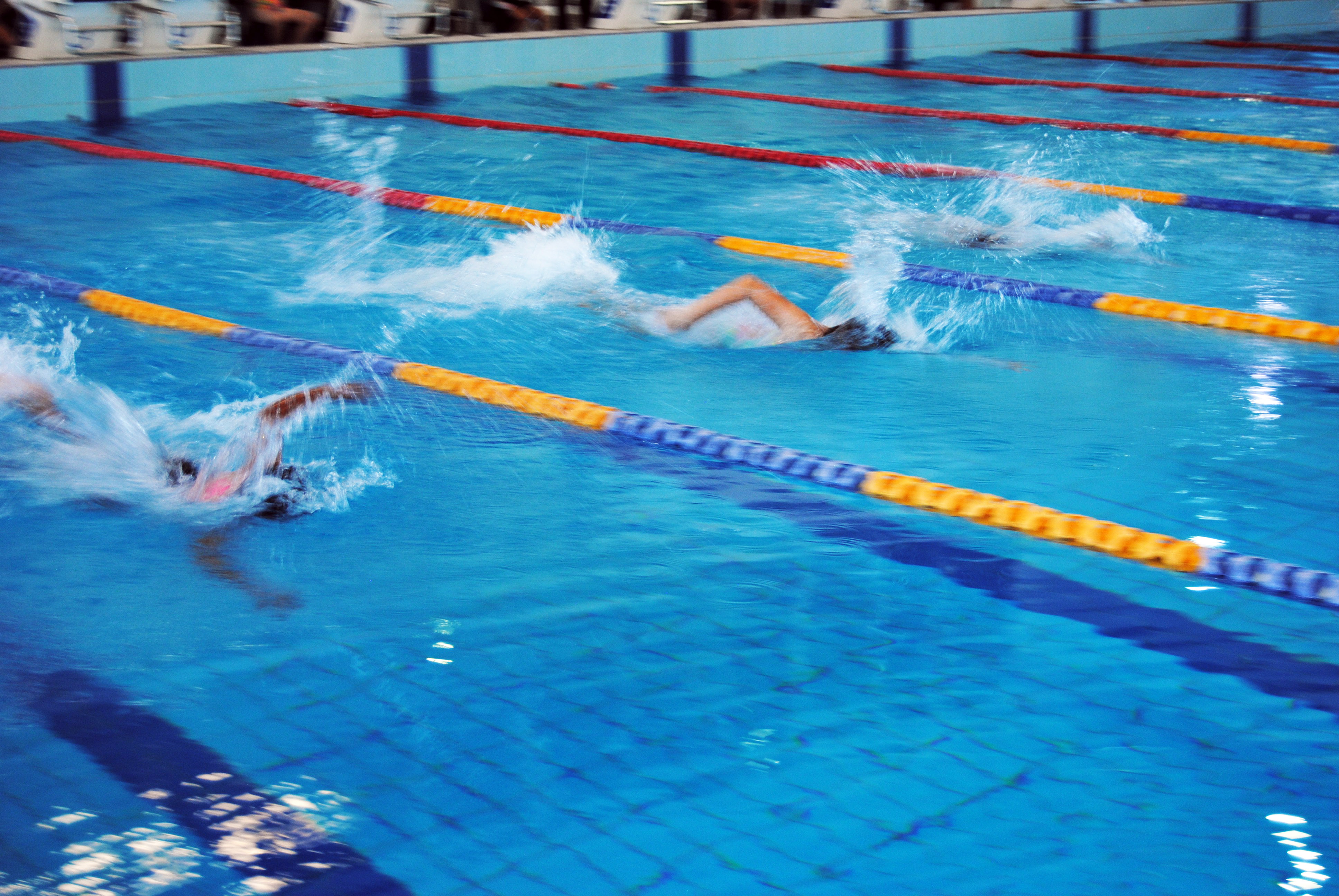 igs-primary-school-swimming-carnival-pool