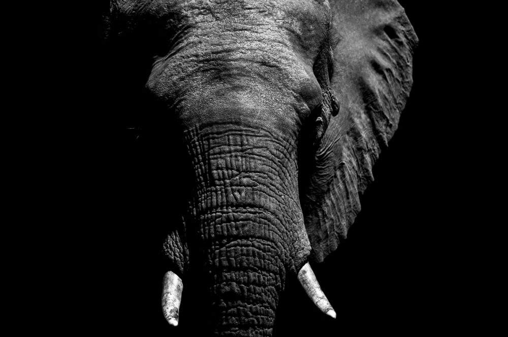 Achieving high quality black and white inkjet prints image science Achieving high quality black and white inkjet prints image science