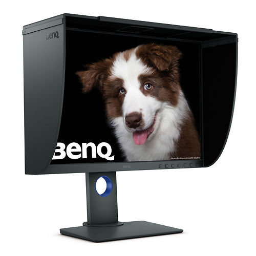 BenQ SW240 24 Inch Monitor 45 Degree Left View