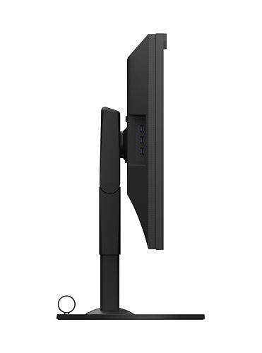 Eizo CG319X 31" Monitor Side