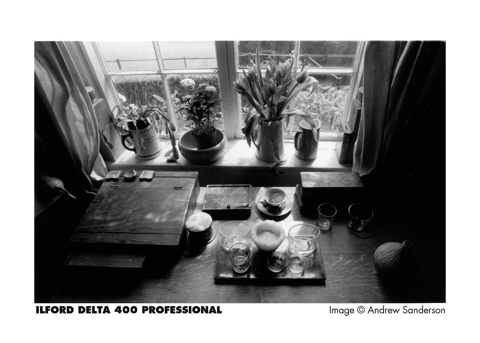 Ilford Delta 400 35mm Black and White Film Image Science