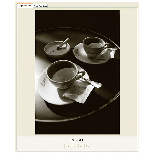 Mirage Small Studio Dongle Interface