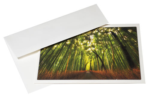 Red River Cards Polar Matte 230gsm With Envelope 2