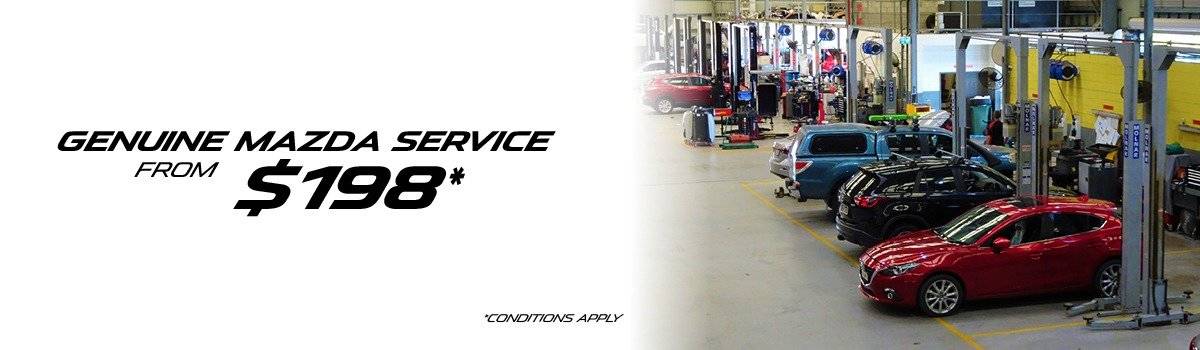 $198 Service Special Large Image