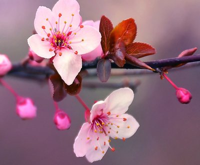 Cool air blowing out a car's air-conditioning vent image