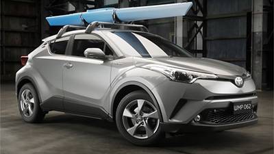 Kayak Carrier