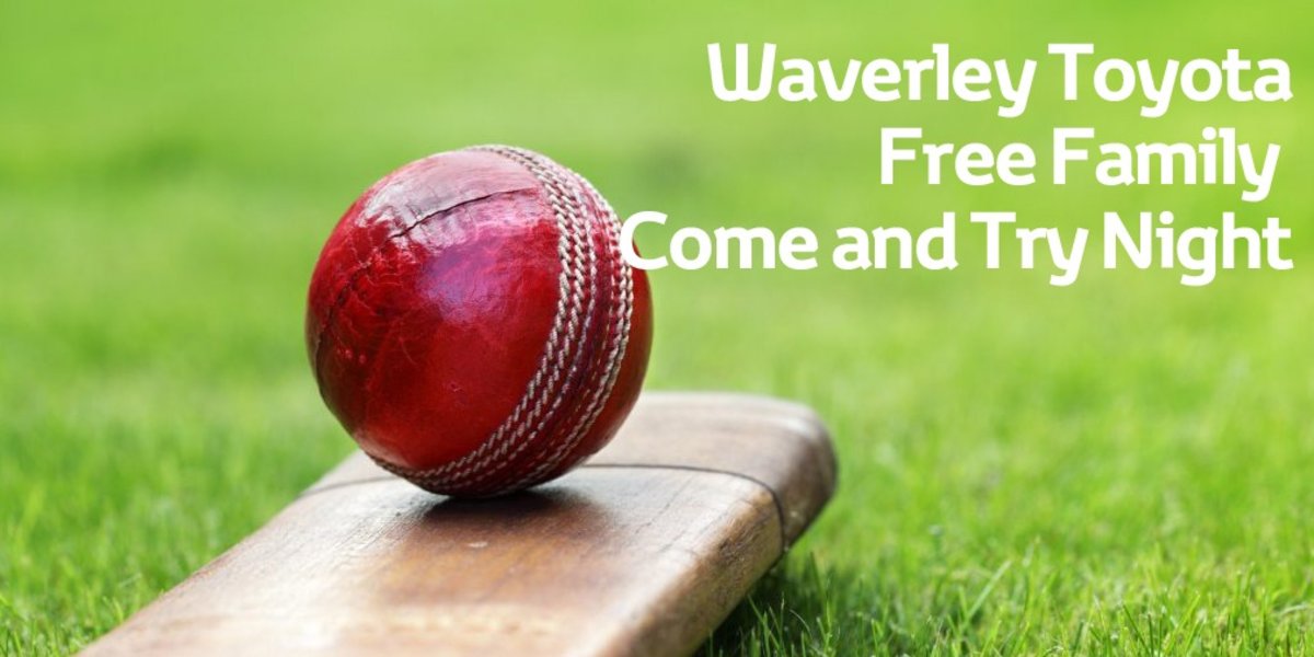 blog large image - All Abilities and All Girls Come and Try Cricket Day - We Want YOU!!!