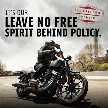 It's Our Freedom Promise Small Image