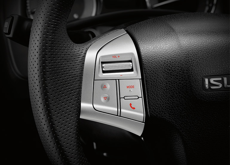 Steering Wheel Controls