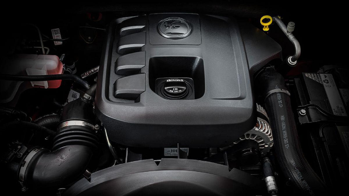 SportsCat - Gallery 1