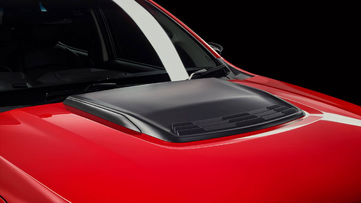 SportsCat - Gallery 2