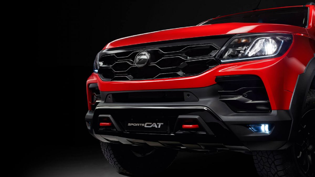 SportsCat - Gallery 3