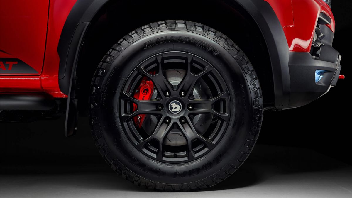 SportsCat - Gallery 7