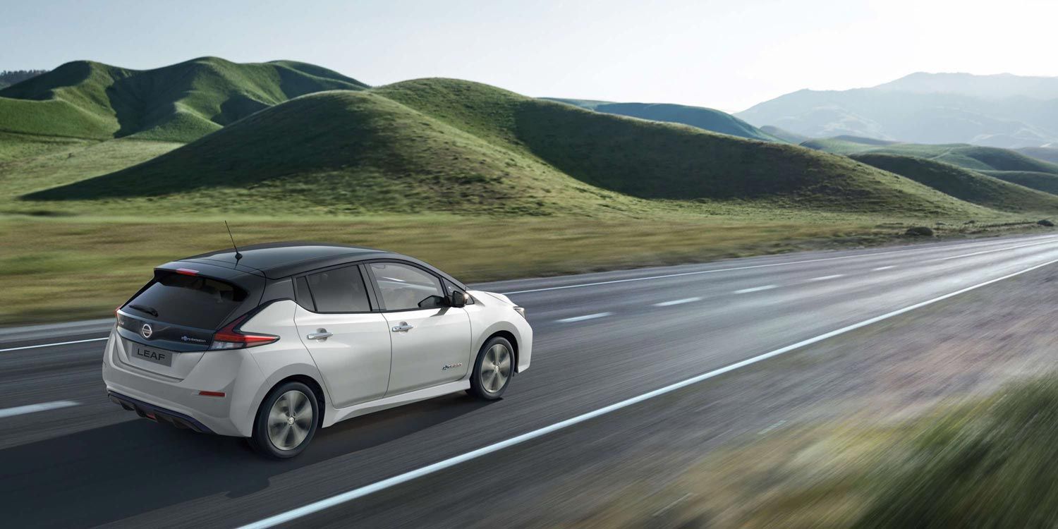 Leaf-on-high-country-drive