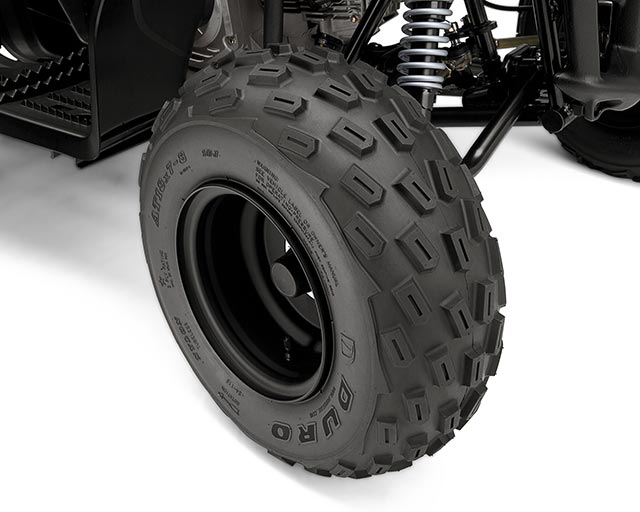 YAMAHA RAPTOR DNA