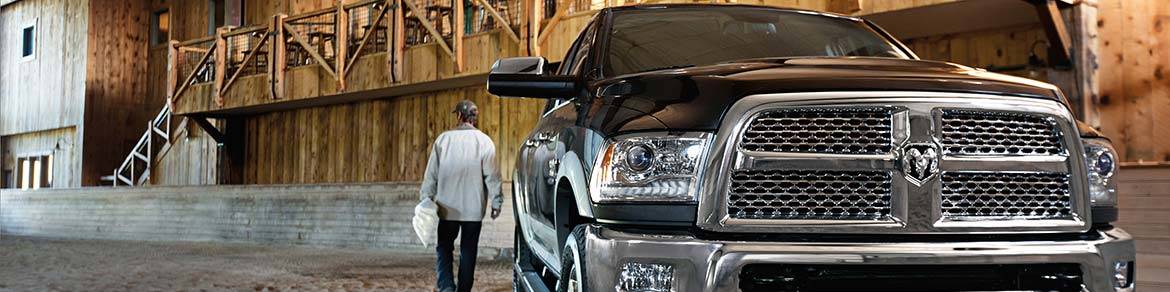 front-on-in-barn-2015-retouched