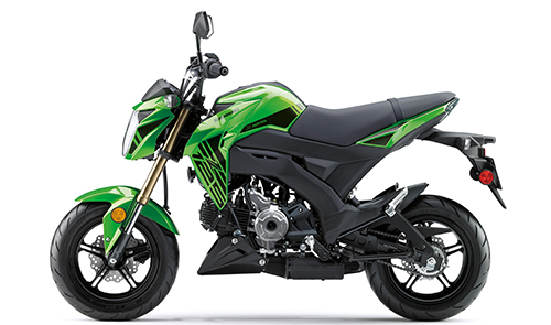 Kawasaki - 2019 Z125 Pro