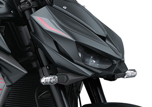 Kawasaki - 2020 Z10003