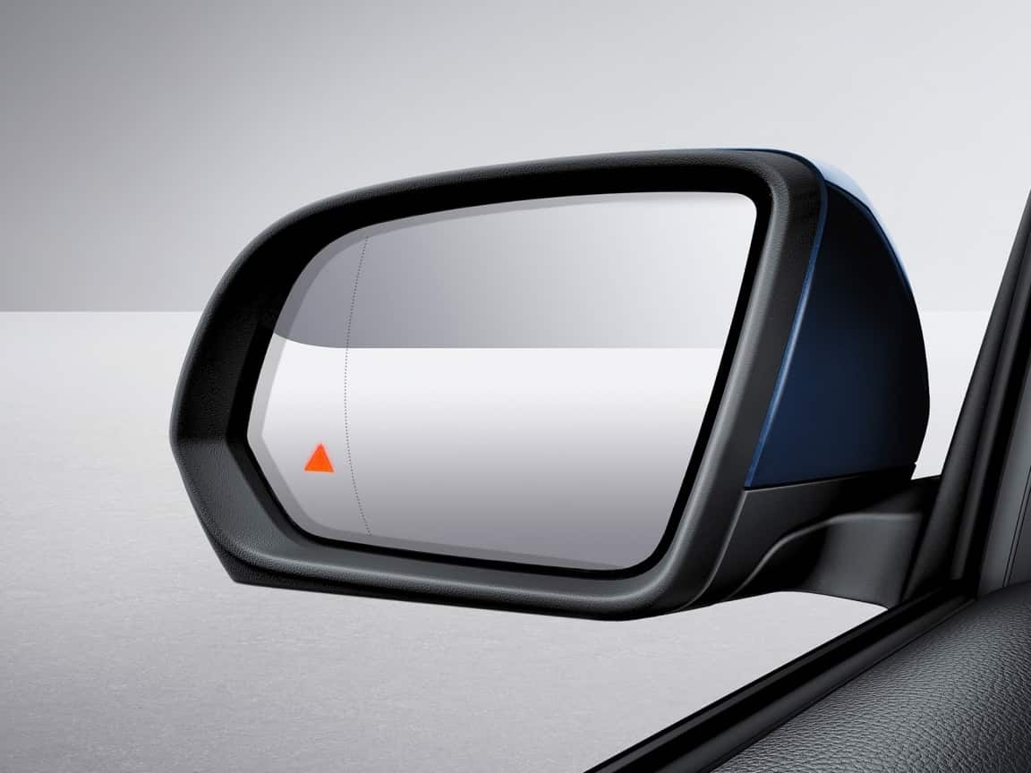 Blind Spot Assist.
