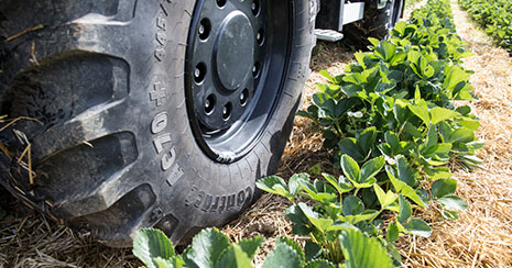 Indispensable on off-road terrain.