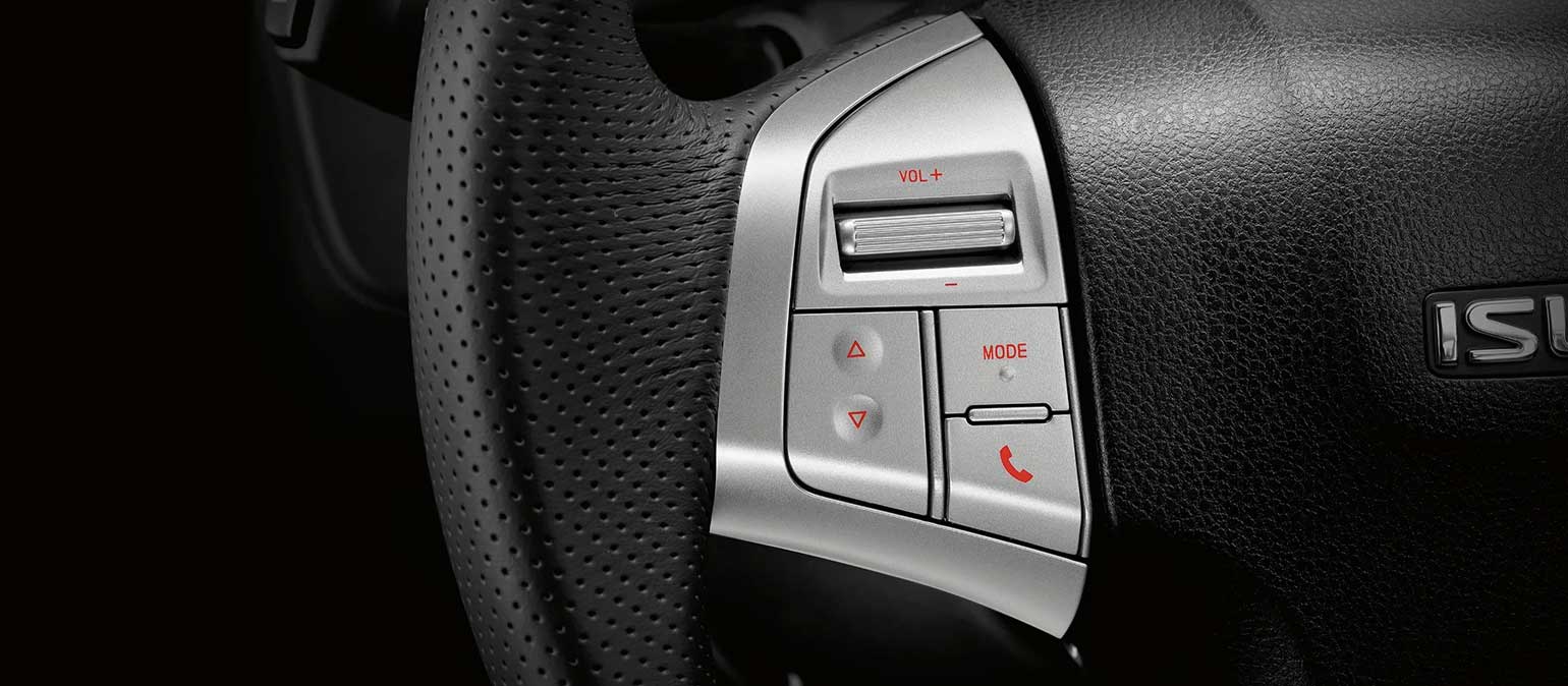 Steering Wheel Controls
