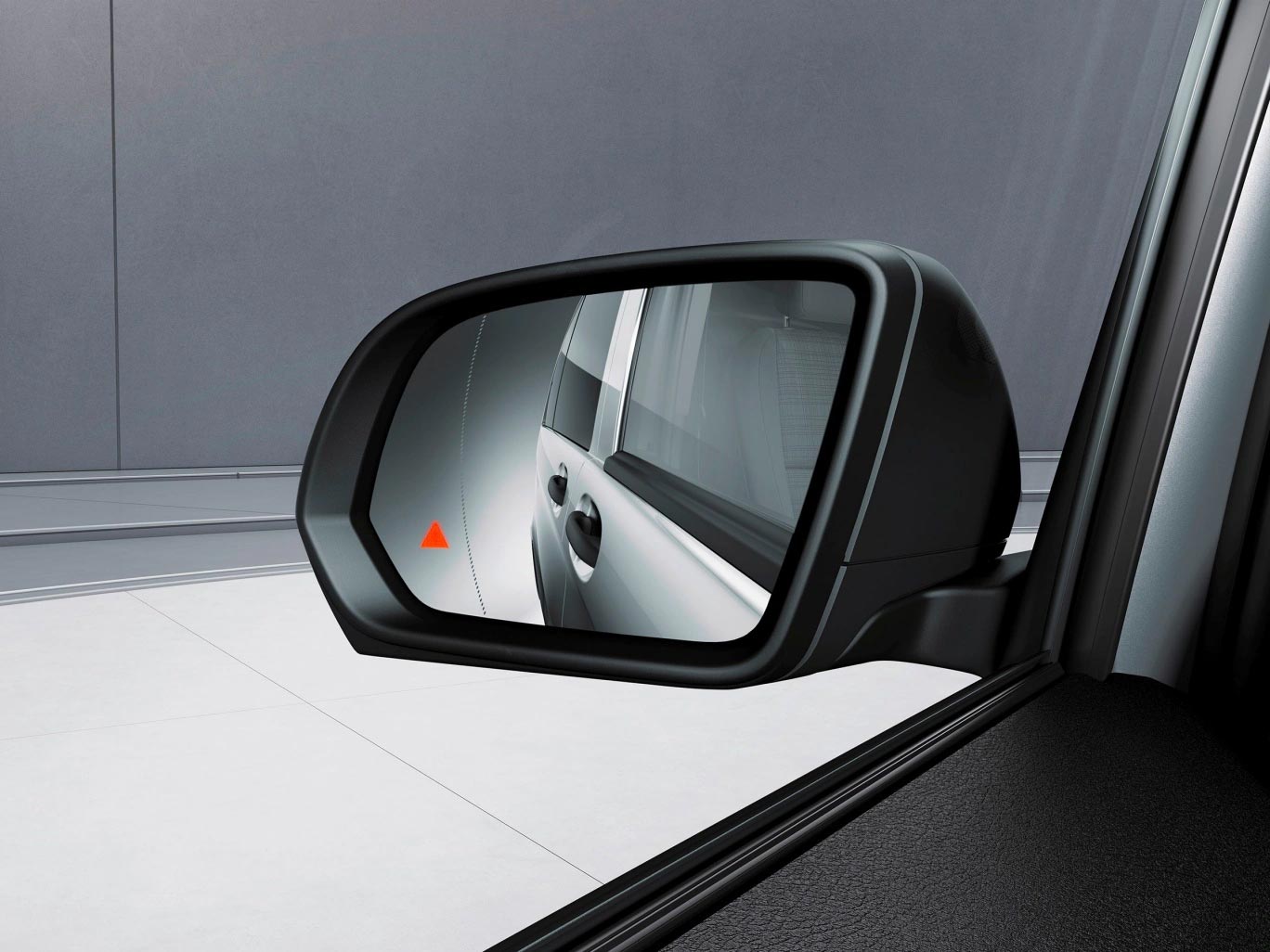 Blind Spot Assist.