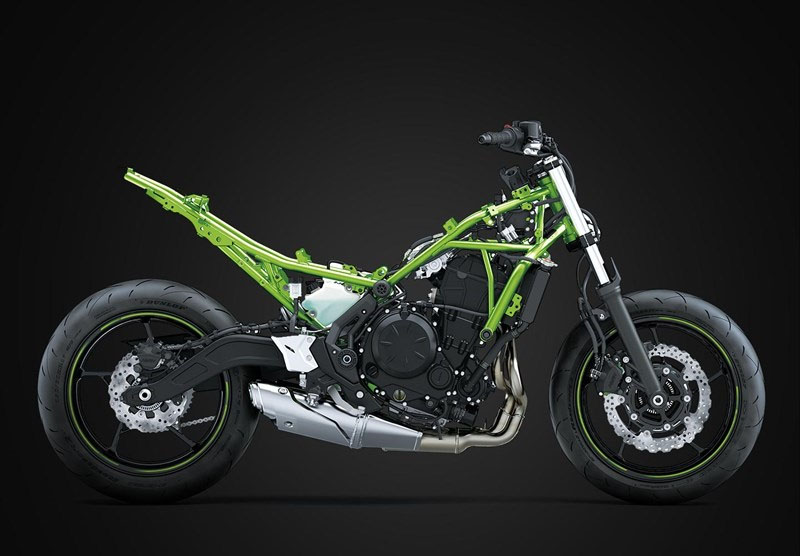 Kawasaki 2025 Z650 for sale at Ultimate Kawasaki Gold Coast in Nerang ...