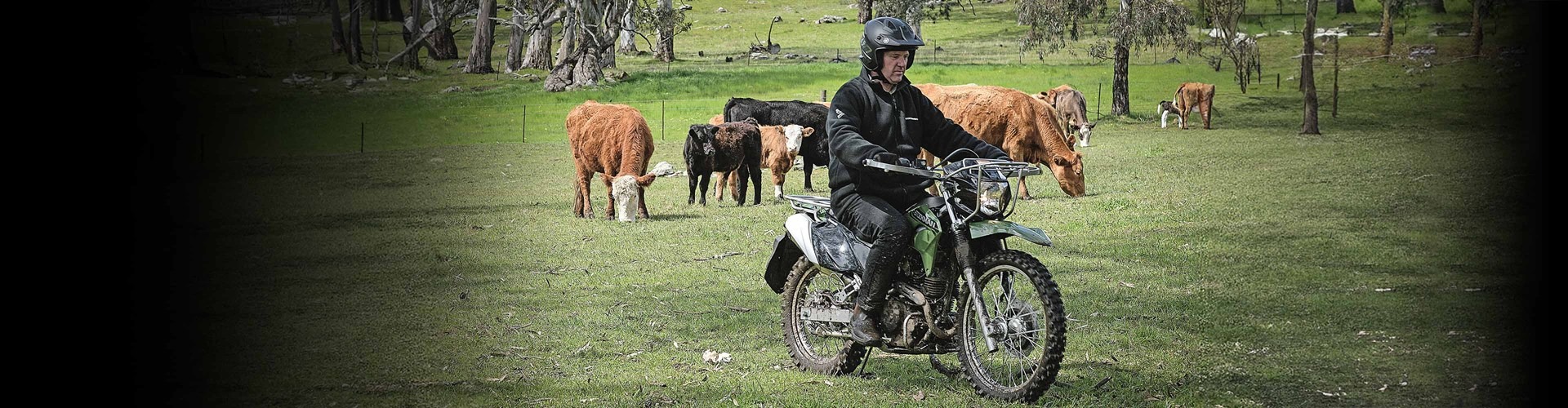 2026-stockman-banner