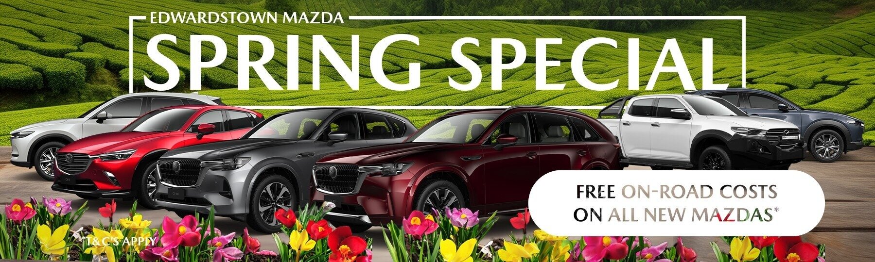Spring Special