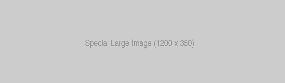 Renault Special Lorem Ipsum Dolor Sit Amet Consectetur Adipisicing Large Image