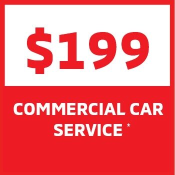 $199 Fixed Price Service Small Image