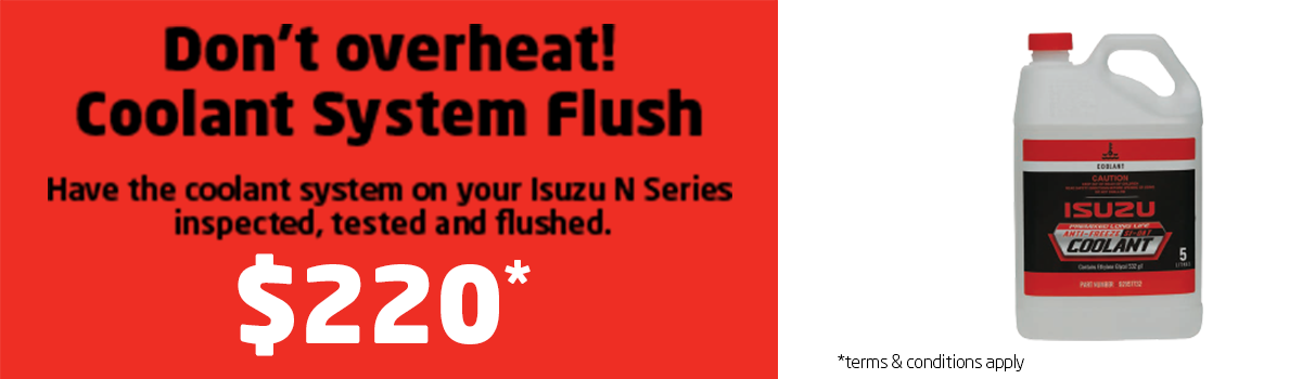 Coolant System Flush Large Image