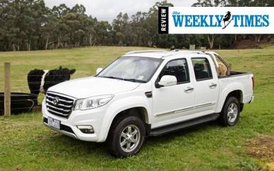 Steed Review - Weekly Times