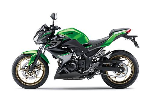 2017 Z300 Feature 01