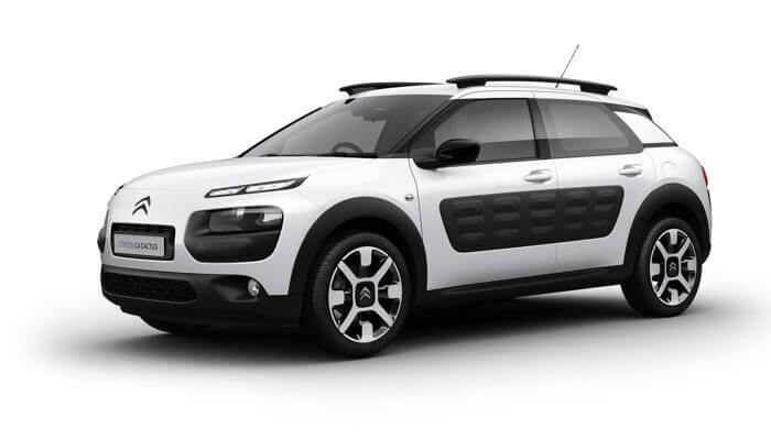 C4 Cactus